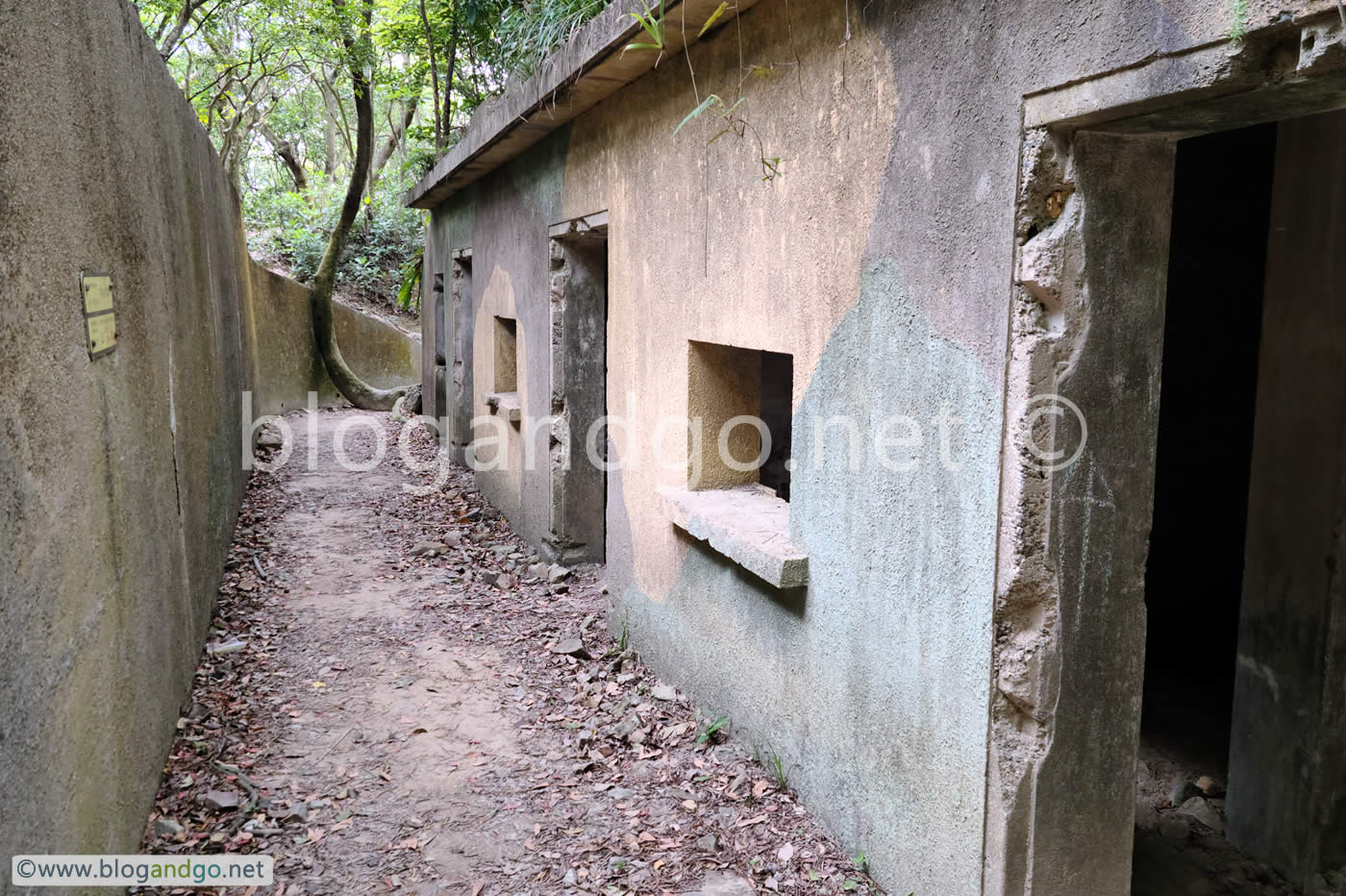 Pinewood Battery - Splinter Proof Shelters